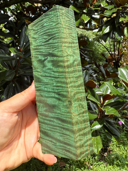 Hawaiian Stabilized Spalted Curly Mango Block #MC353