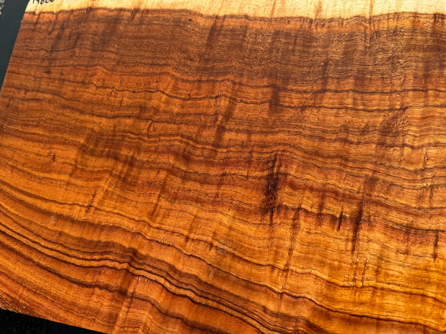 Hawaiian Curly Koa Board / Guitar Billet #14888