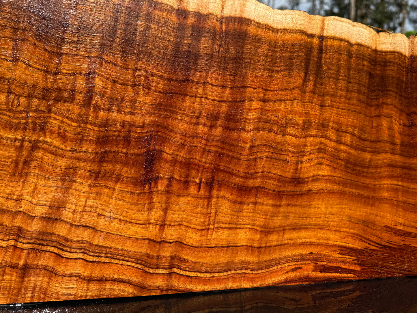 Hawaiian Curly Koa Board / Guitar Billet #14888