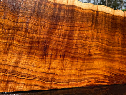 Hawaiian Curly Koa Board / Guitar Billet #14888