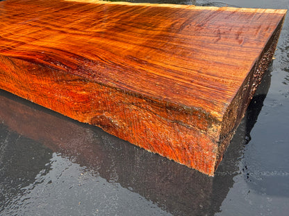Hawaiian Curly Koa Board / Guitar Billet #14888
