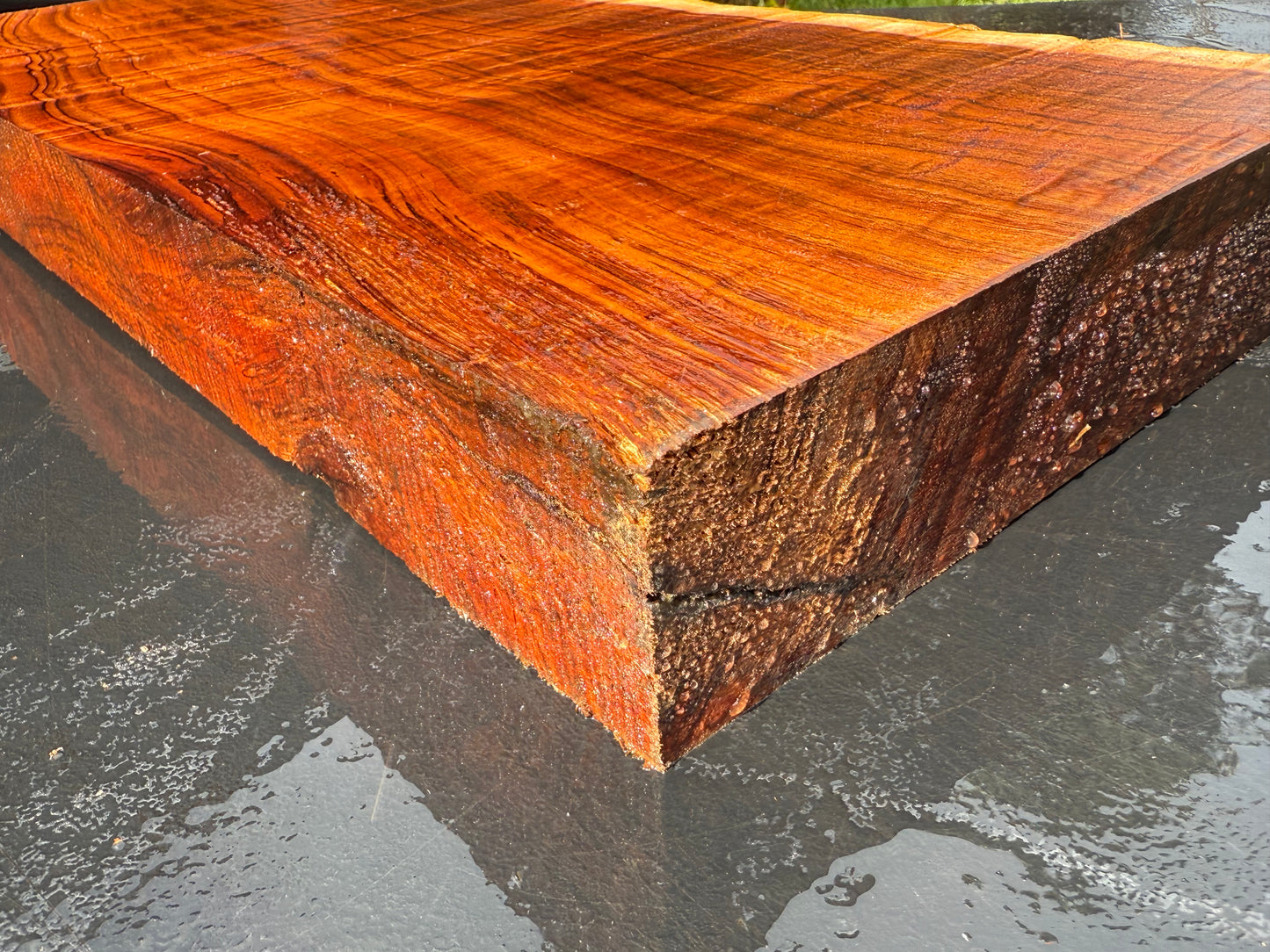 Hawaiian Curly Koa Board / Guitar Billet #14888