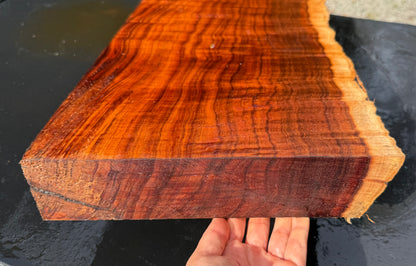 Hawaiian Curly Koa Board / Guitar Billet #14888