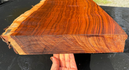 Hawaiian Curly Koa Board / Guitar Billet #14888