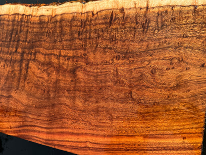 Hawaiian Curly Koa Board / Guitar Billet #14888