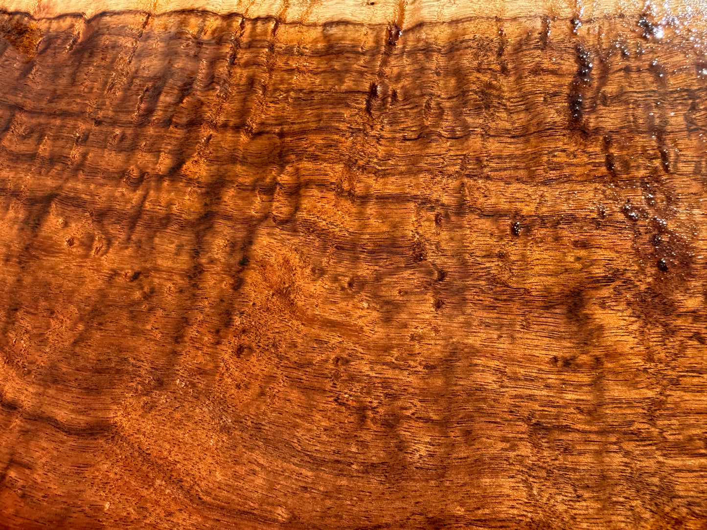 Hawaiian Curly Koa Board / Guitar Billet #14888
