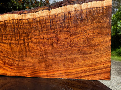 Hawaiian Curly Koa Board / Guitar Billet #14888
