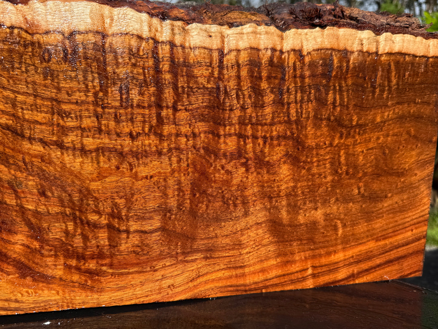 Hawaiian Curly Koa Board / Guitar Billet #14888