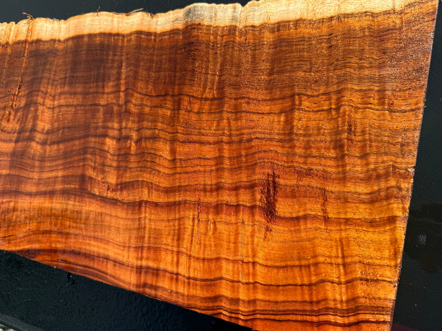 Hawaiian Curly Koa Board / Guitar Billet #14889