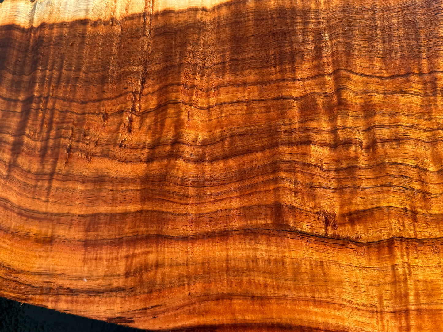 Hawaiian Curly Koa Board / Guitar Billet #14889