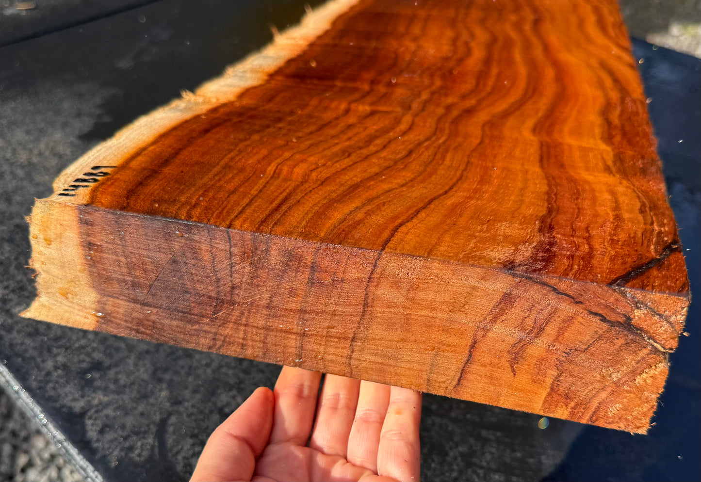 Hawaiian Curly Koa Board / Guitar Billet #14889