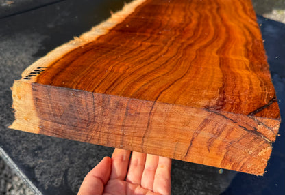 Hawaiian Curly Koa Board / Guitar Billet #14889