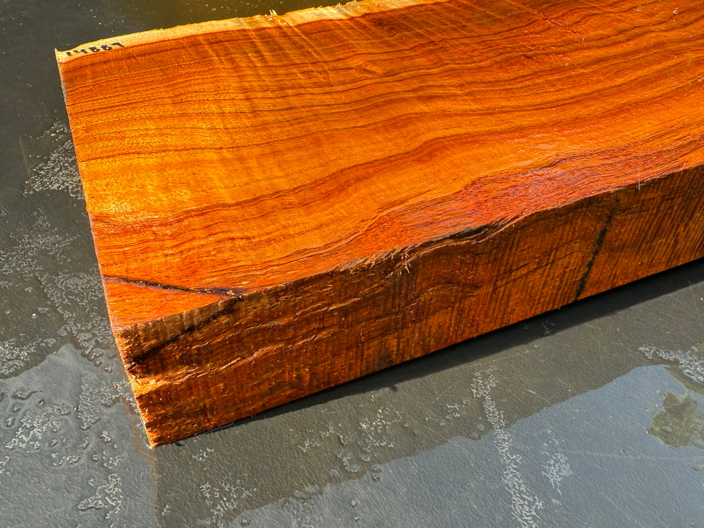 Hawaiian Curly Koa Board / Guitar Billet #14889