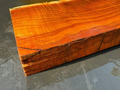 Hawaiian Curly Koa Board / Guitar Billet #14889