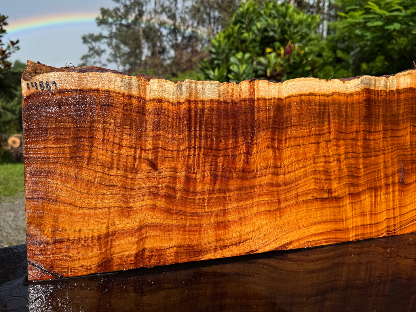 Hawaiian Curly Koa Board / Guitar Billet #14889