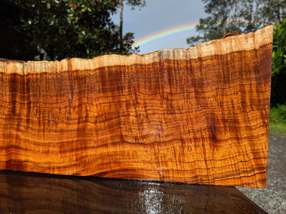 Hawaiian Curly Koa Board / Guitar Billet #14889