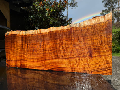 Hawaiian Curly Koa Board / Guitar Billet #14889