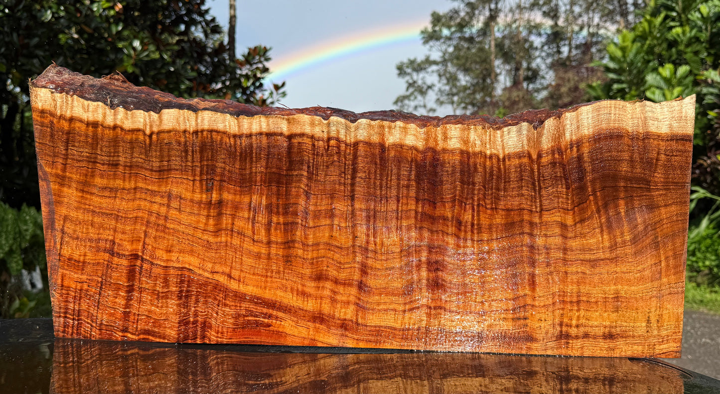Hawaiian Curly Koa Board / Guitar Billet #14889