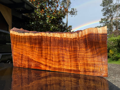 Hawaiian Curly Koa Board / Guitar Billet #14889