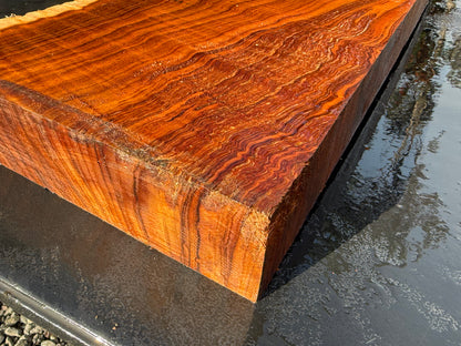 Hawaiian Curly Koa Board / Guitar Billet #14889