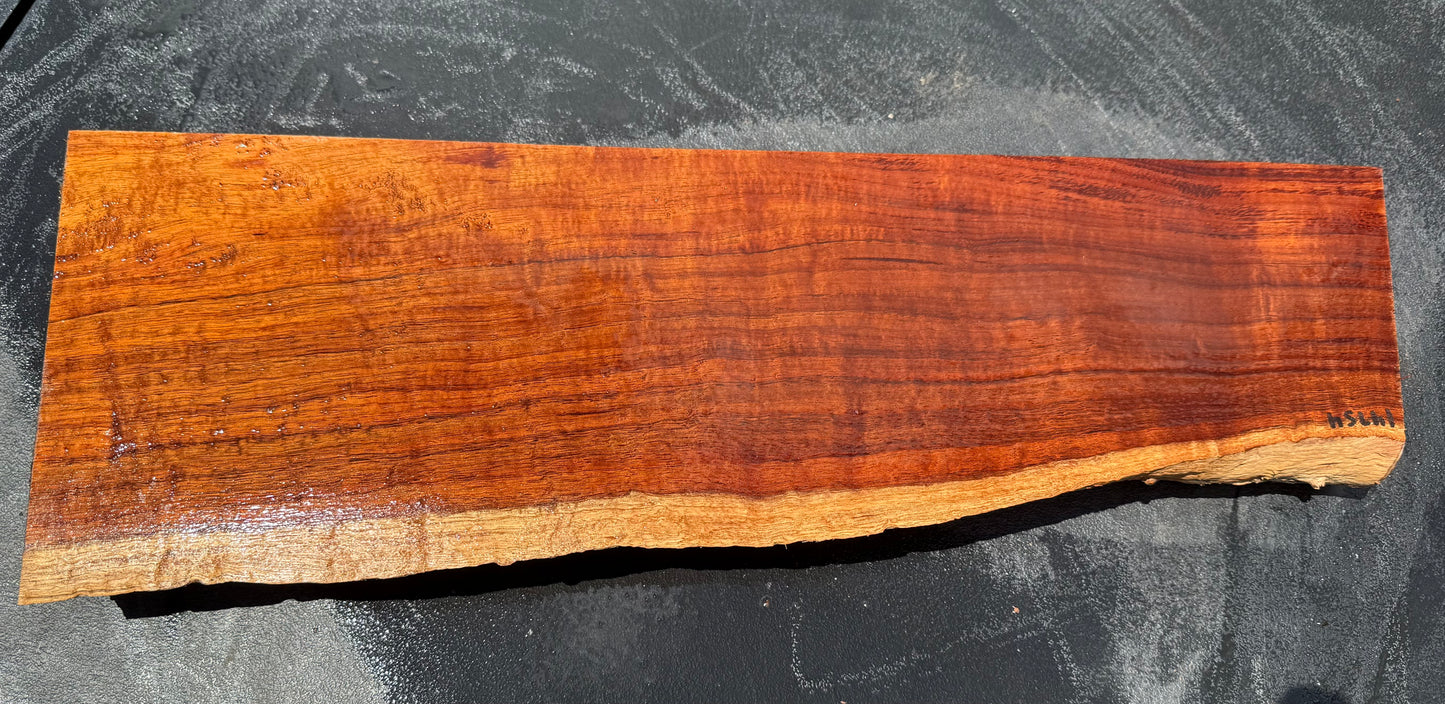 Hawaiian Curly Koa Board / Guitar Billet #14754