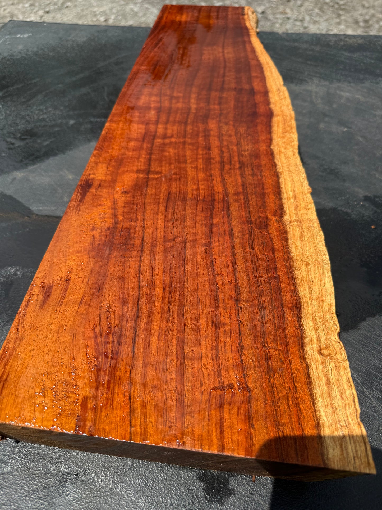 Hawaiian Curly Koa Board / Guitar Billet #14754