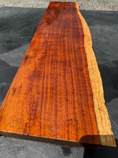 Hawaiian Curly Koa Board / Guitar Billet #14754