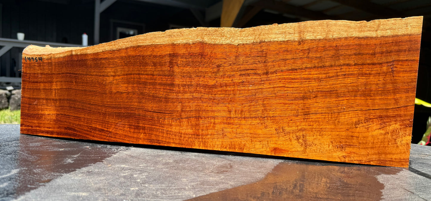 Hawaiian Curly Koa Board / Guitar Billet #14754