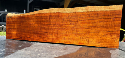 Hawaiian Curly Koa Board / Guitar Billet #14754