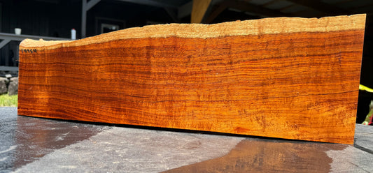 Hawaiian Curly Koa Board / Guitar Billet #14754