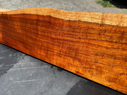 Hawaiian Curly Koa Board / Guitar Billet #14754