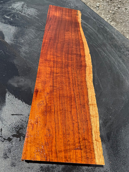 Hawaiian Curly Koa Board / Guitar Billet #14754