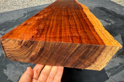 Hawaiian Curly Koa Board / Guitar Billet #14754