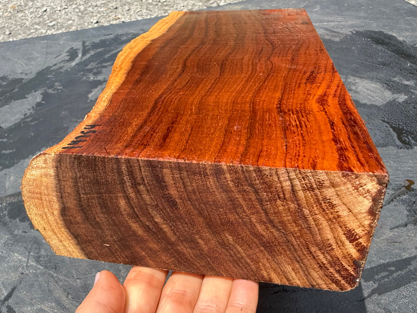 Hawaiian Curly Koa Board / Guitar Billet #14754
