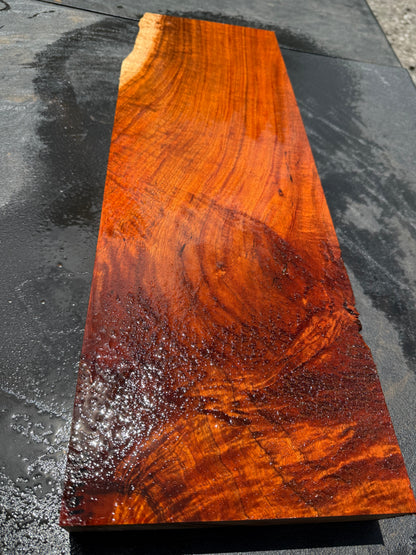Hawaiian Curly Koa Board / Guitar Billet #14758