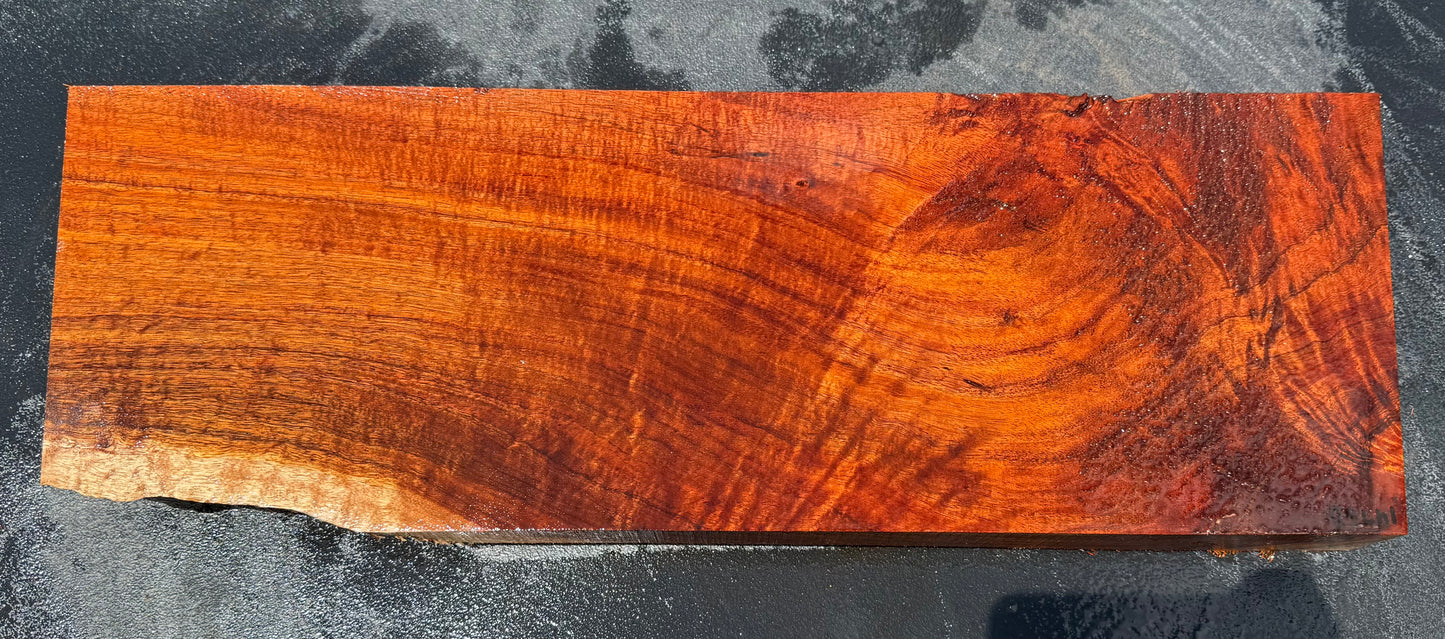 Hawaiian Curly Koa Board / Guitar Billet #14758