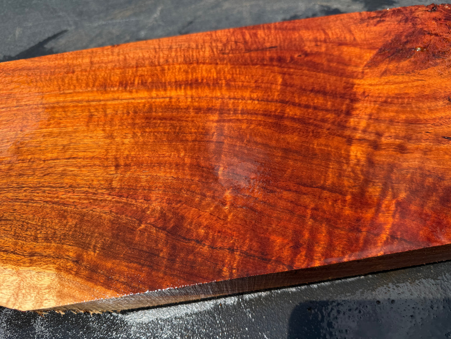 Hawaiian Curly Koa Board / Guitar Billet #14758