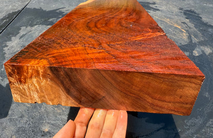 Hawaiian Curly Koa Board / Guitar Billet #14758