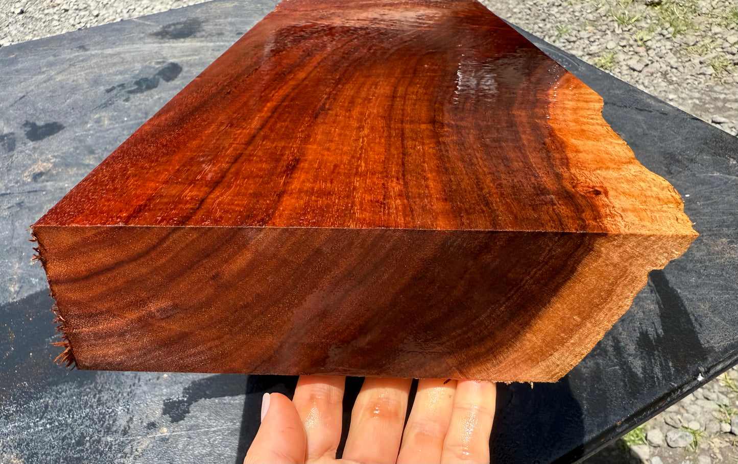 Hawaiian Curly Koa Board / Guitar Billet #14758