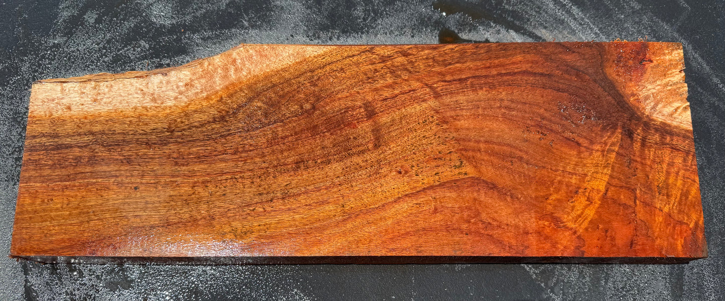 Hawaiian Curly Koa Board / Guitar Billet #14758