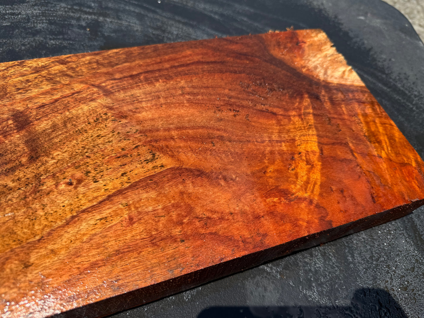 Hawaiian Curly Koa Board / Guitar Billet #14758