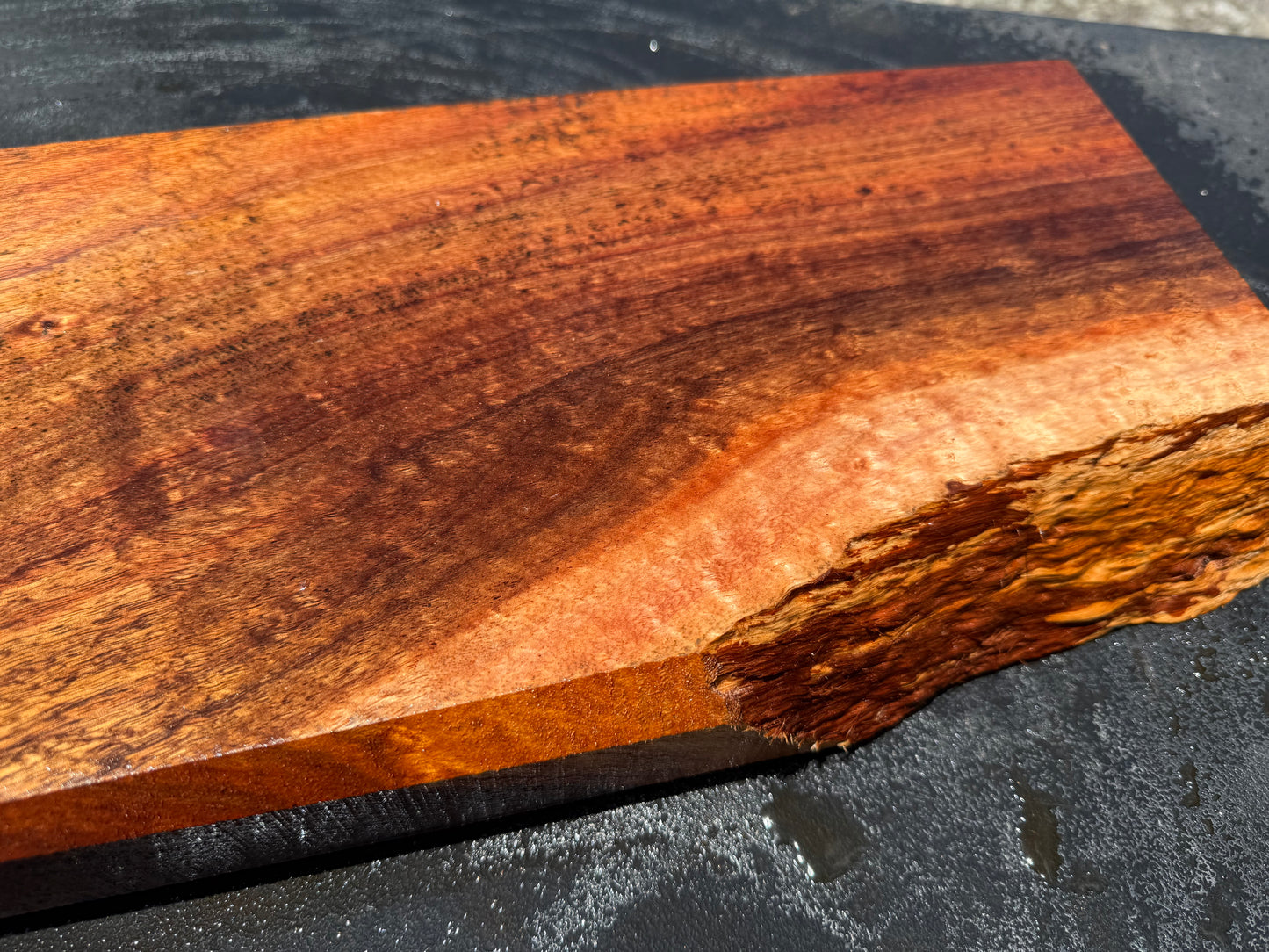 Hawaiian Curly Koa Board / Guitar Billet #14758