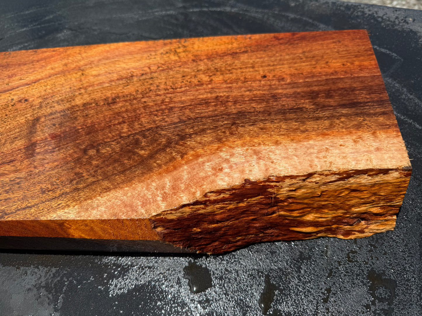 Hawaiian Curly Koa Board / Guitar Billet #14758