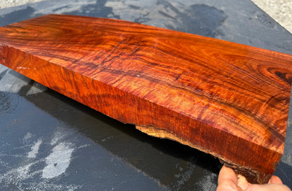 Hawaiian Curly Koa Board / Guitar Billet #14759