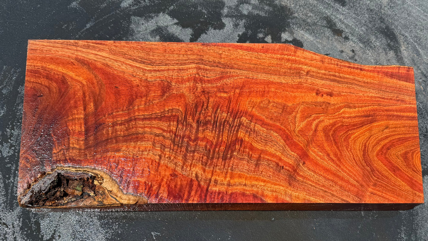 Hawaiian Curly Koa Board / Guitar Billet #14759