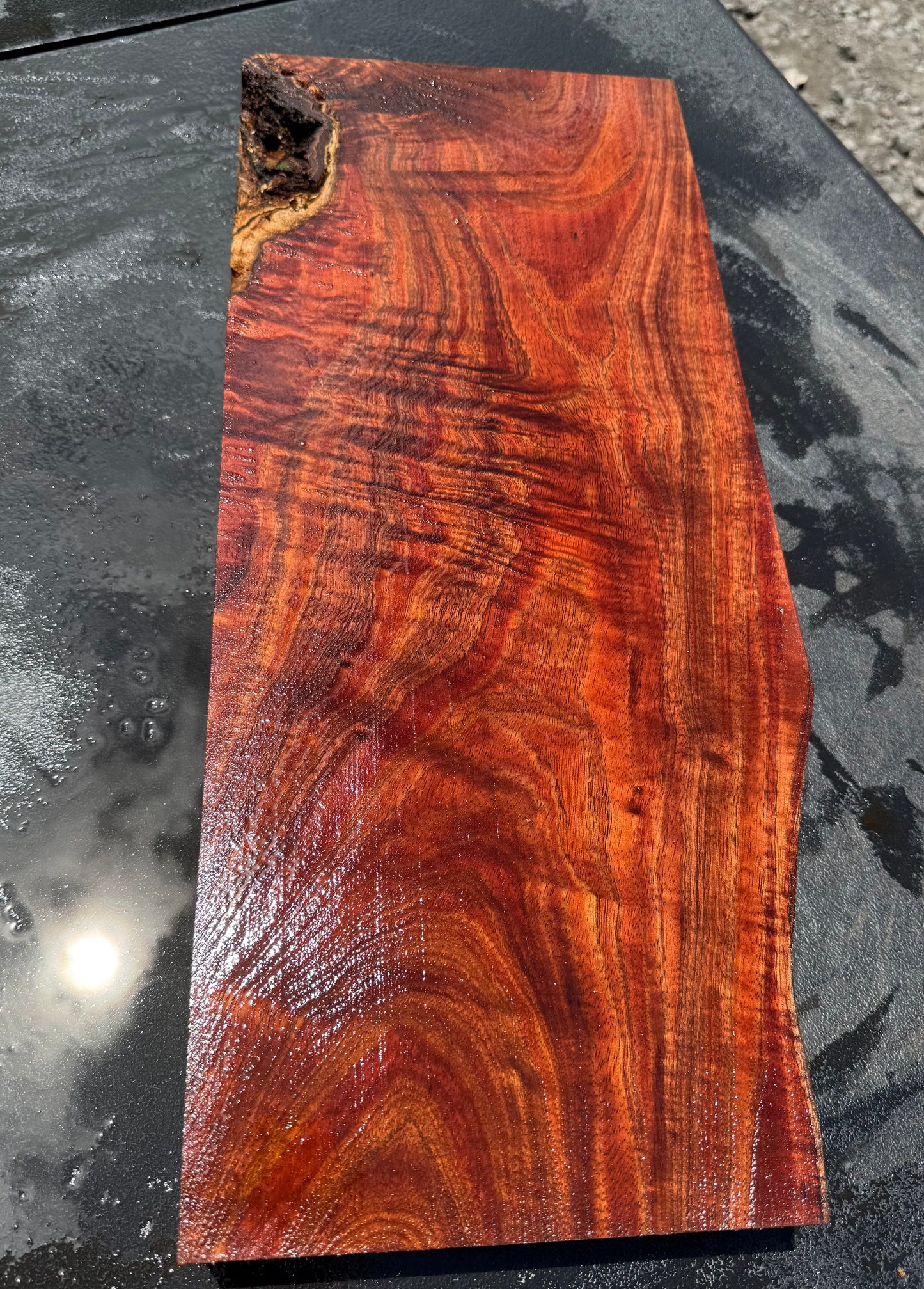 Hawaiian Curly Koa Board / Guitar Billet #14759