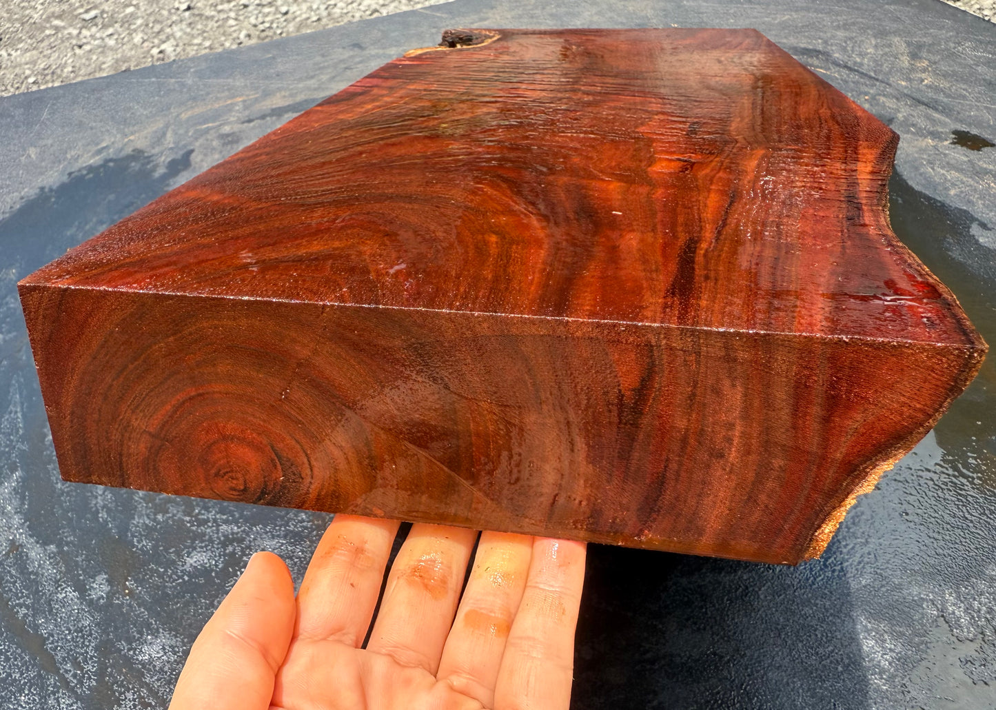 Hawaiian Curly Koa Board / Guitar Billet #14759