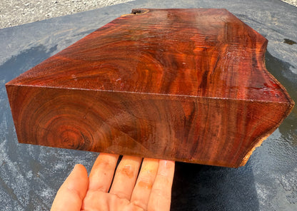 Hawaiian Curly Koa Board / Guitar Billet #14759