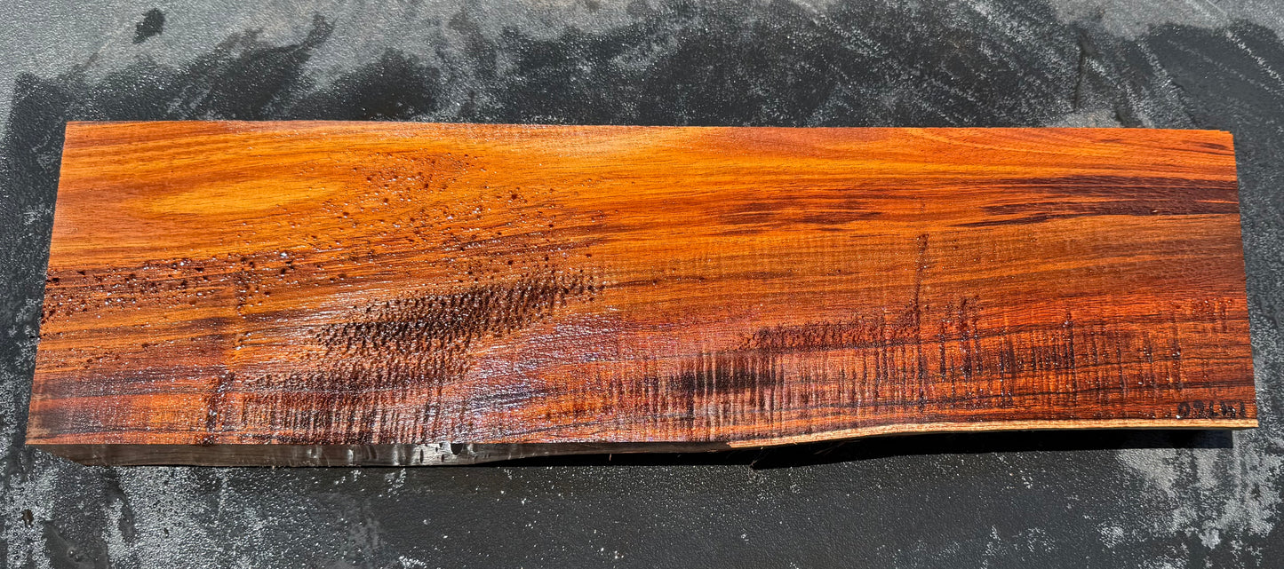 Hawaiian Curly Koa Board / Guitar Billet #14760
