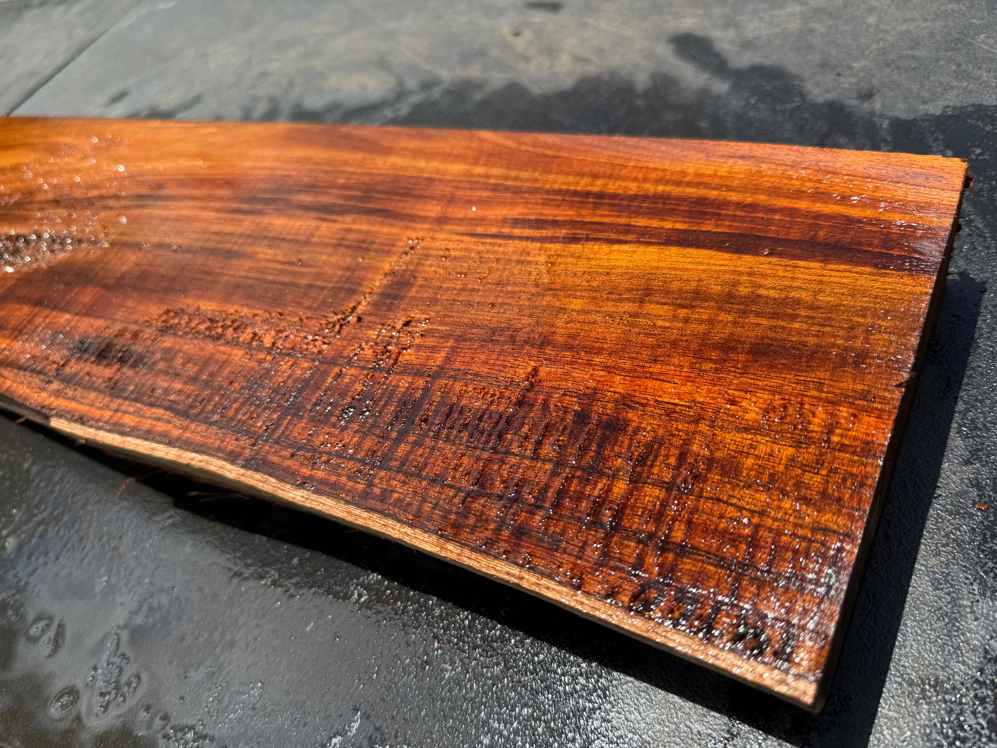 Hawaiian Curly Koa Board / Guitar Billet #14760